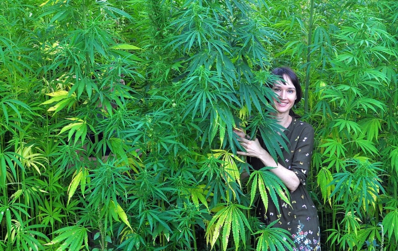 hemptouch