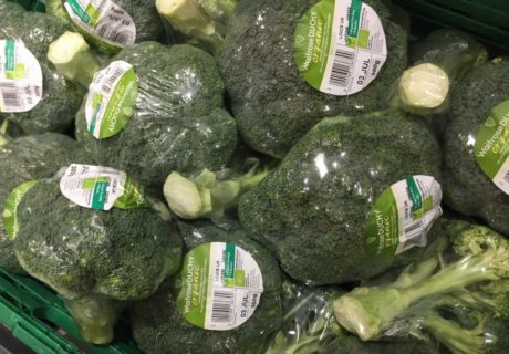 plastic broccoli