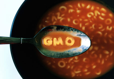 GMO