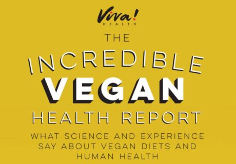 vegan report cover