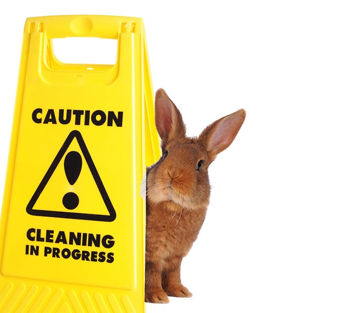 Cruelty Free International launches campaign to end animal testing for cleaning  products - NP NEWS | The online home of Natural Products magazine